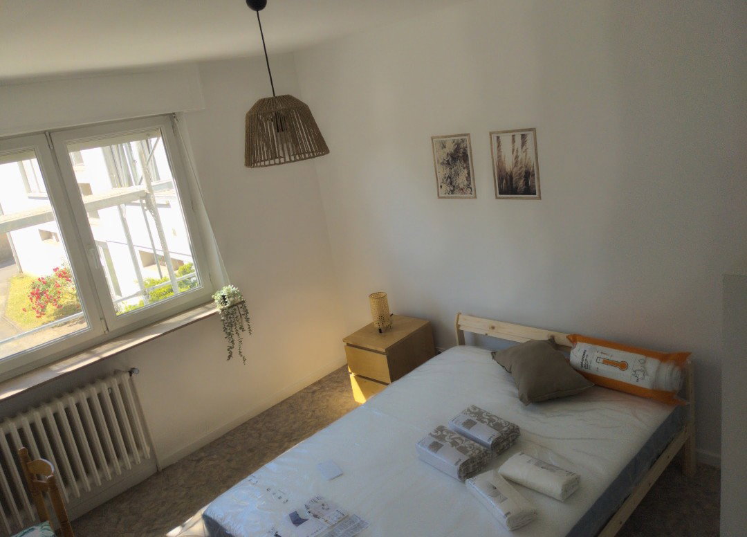 Kolokasie Thionville 665685