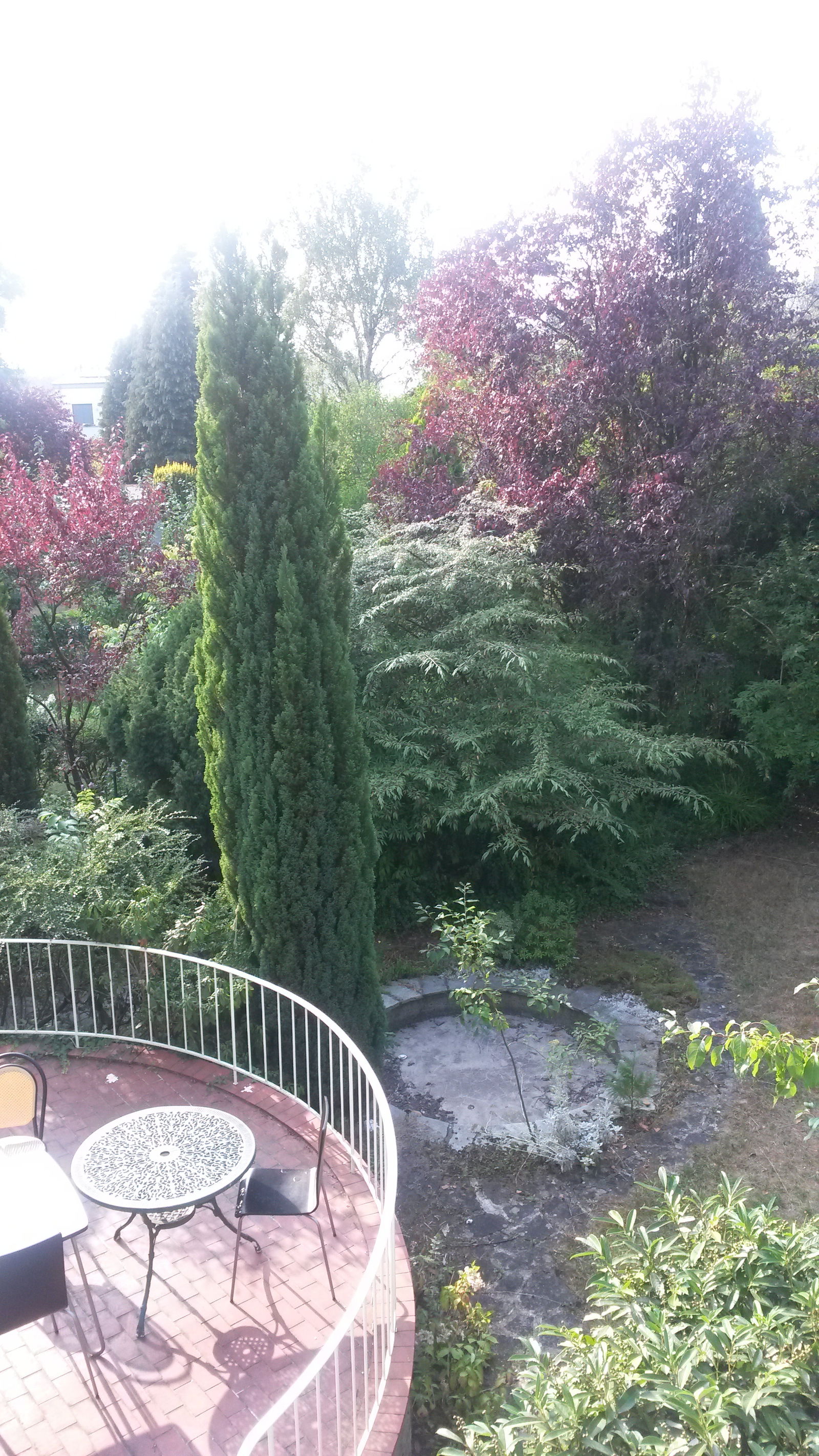 Collocazione Luxembourg 111105