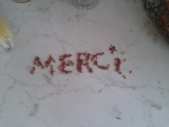 Camere Per Gli Ospiti Rouen 43481