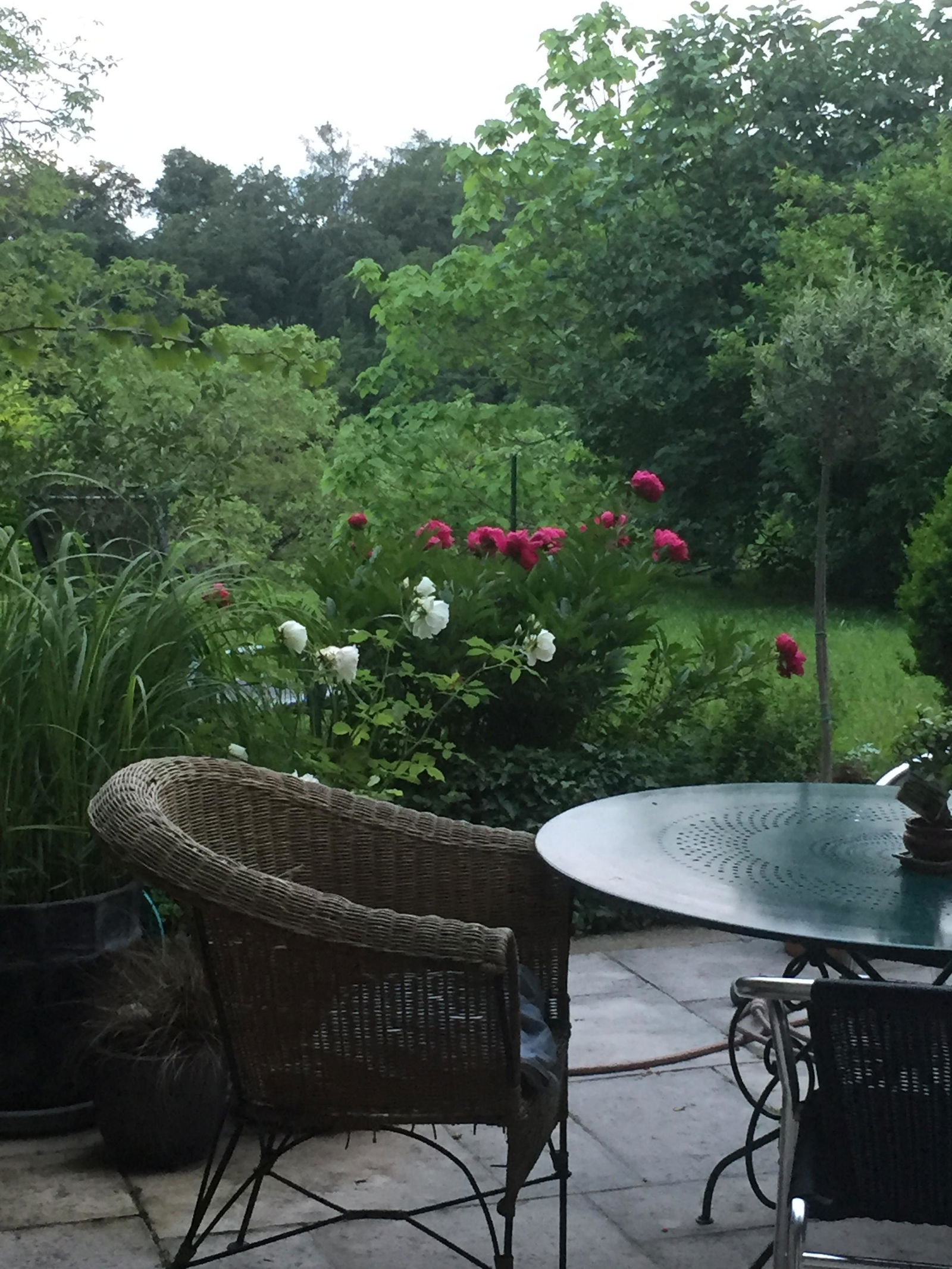 Famiglia Givrins 142211