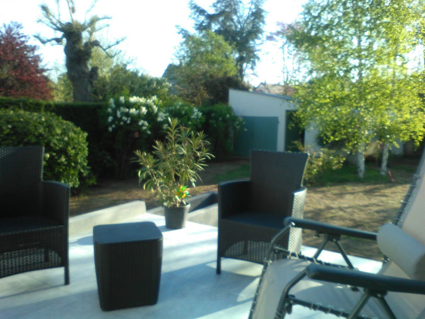 Famiglia Saint-Cyr-sur-Loire 55749