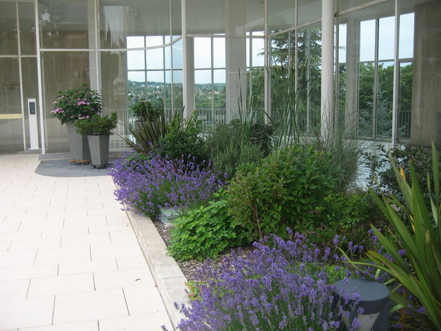 Famiglia Saint-Germain-en-Laye 59340