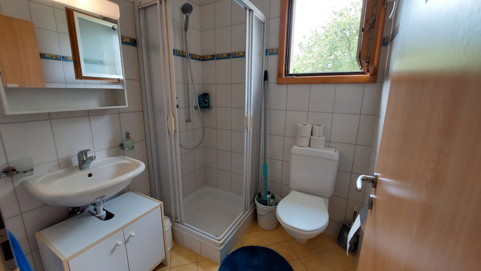 Coliving Lausanne 245494
