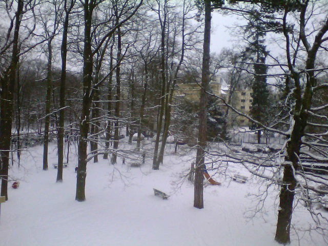 Famiglia Versailles 23537