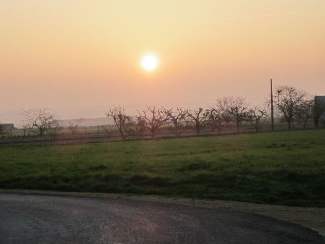 Camere Per Gli Ospiti Saint-Jean-de-Sauves 48433