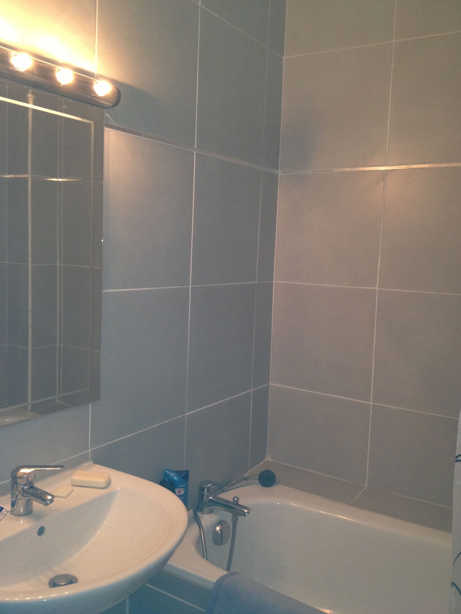 Collocazione Villeurbanne 98809