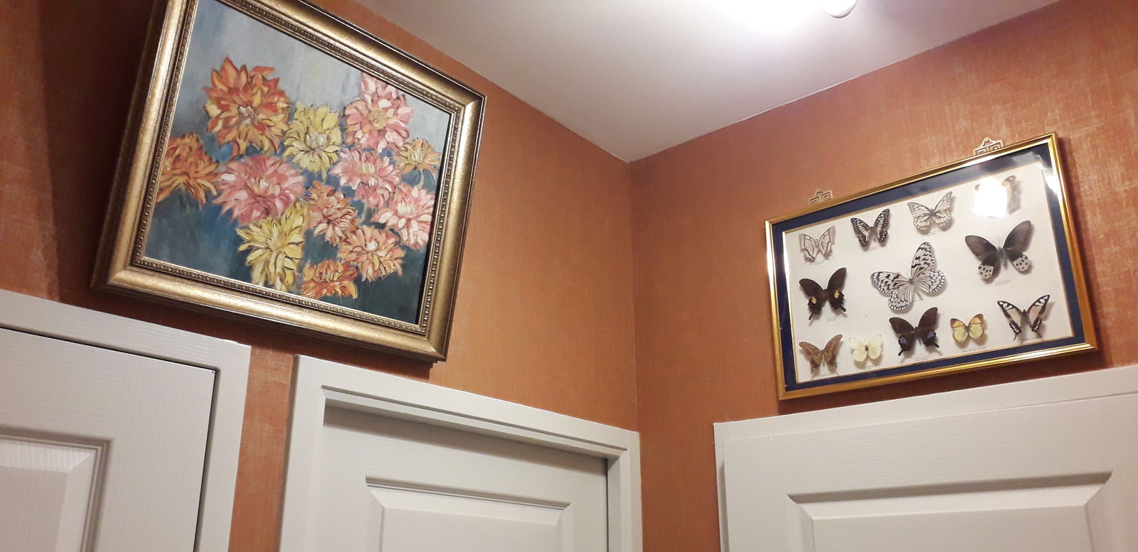 Collocazione Brest 37062