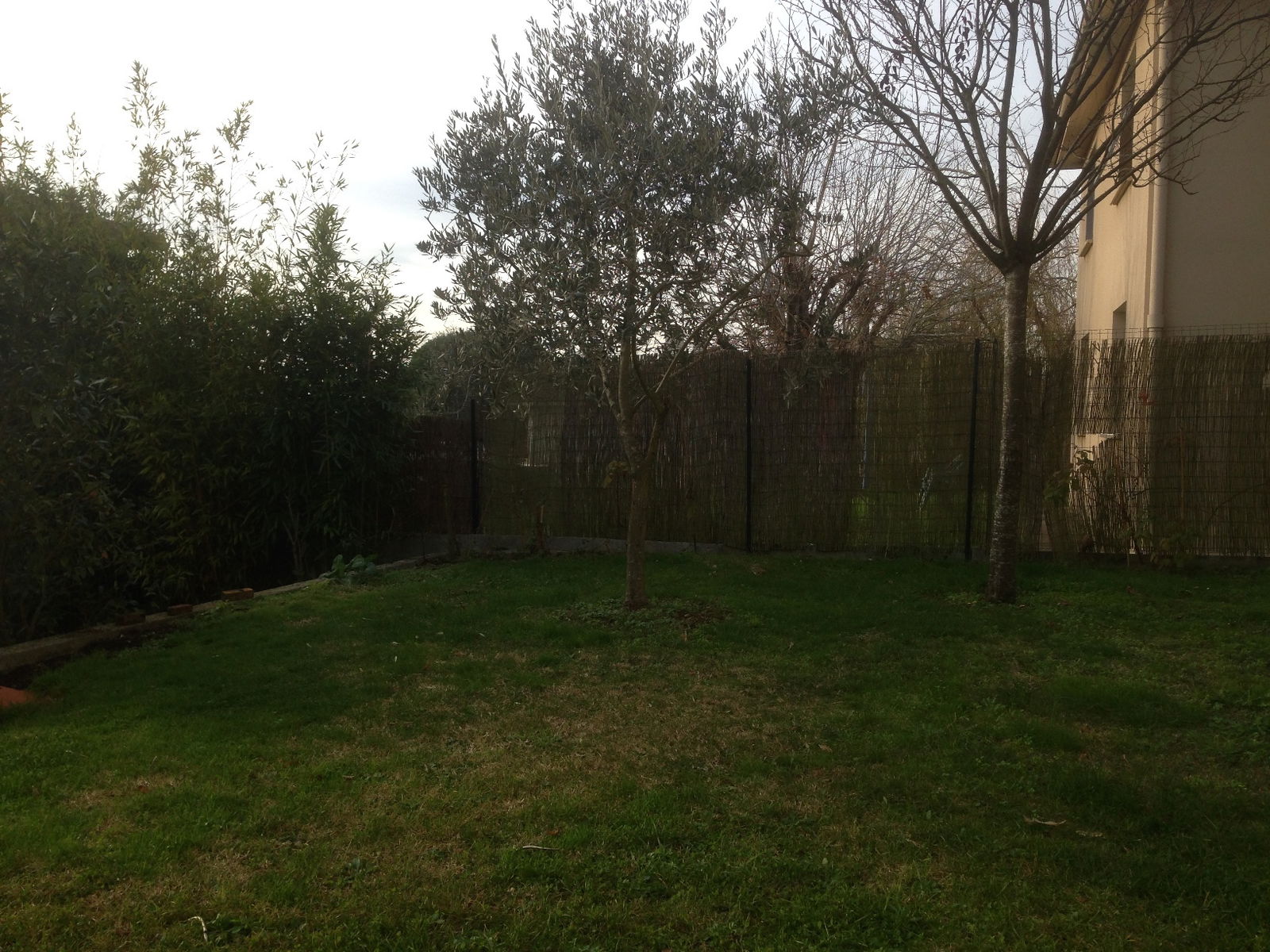 Famiglia Saint-Orens-de-Gameville 92114