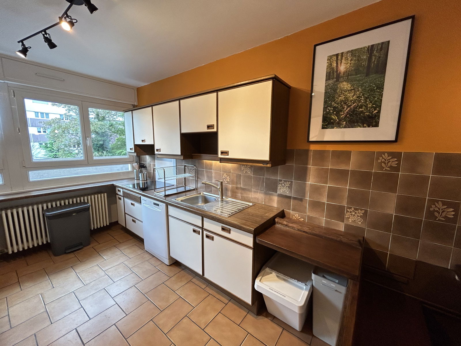 Collocazione Strasbourg 515924
