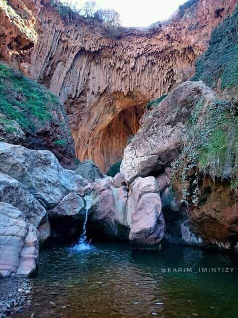 Famiglia Demnate 218048