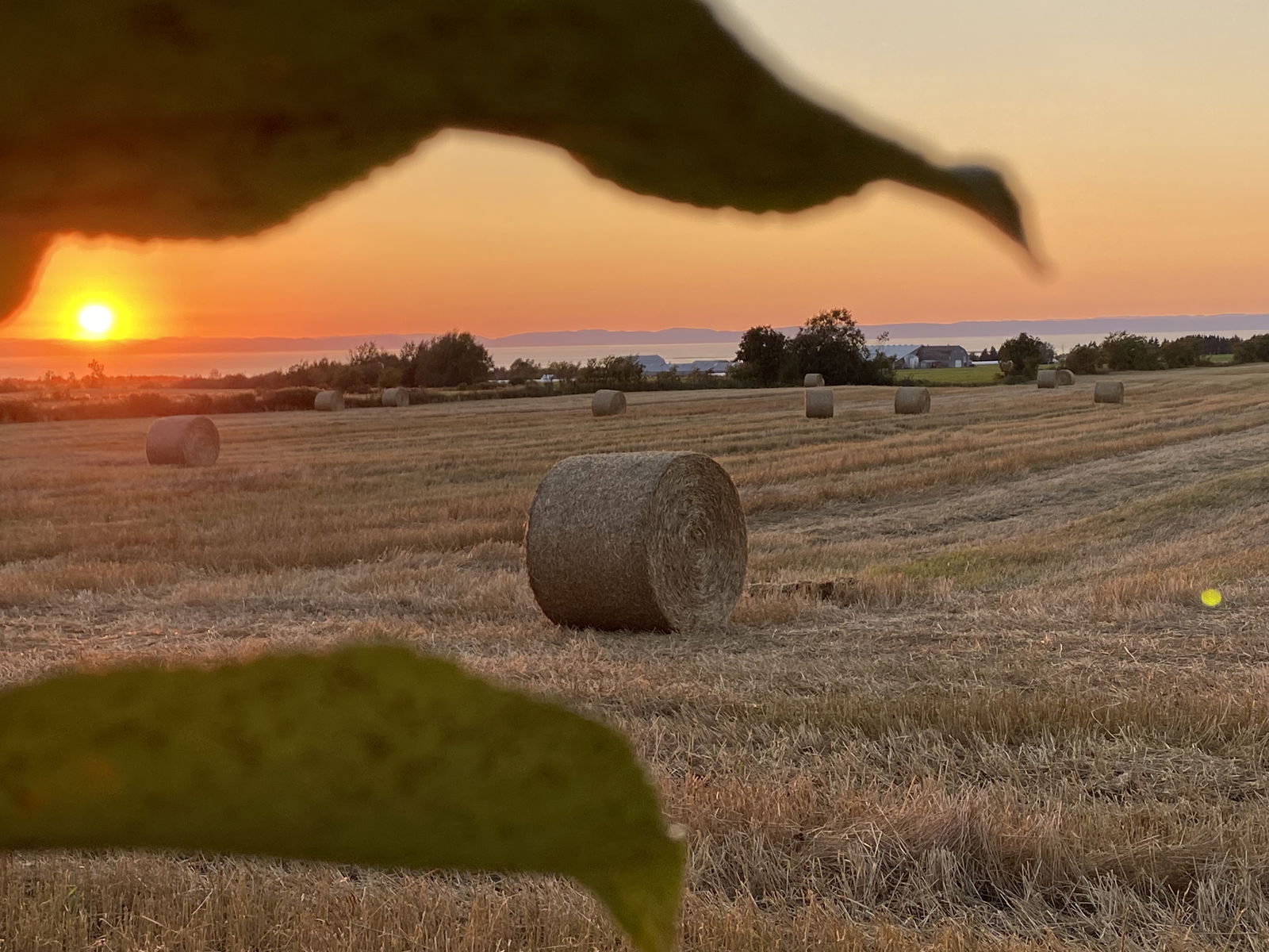 Camere Per Gli Ospiti Saint-Éloi 265494