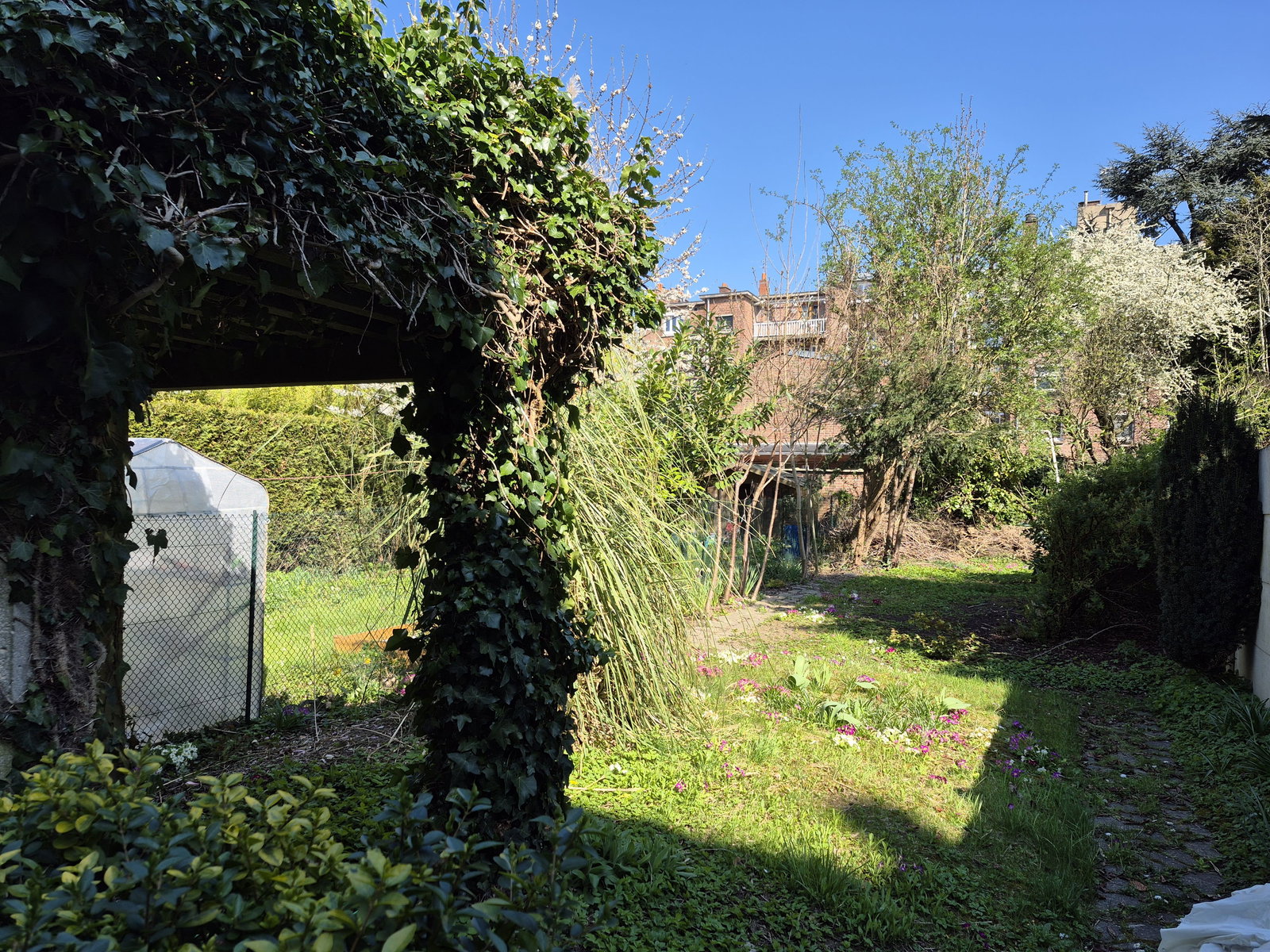 Famiglia Lille 662679