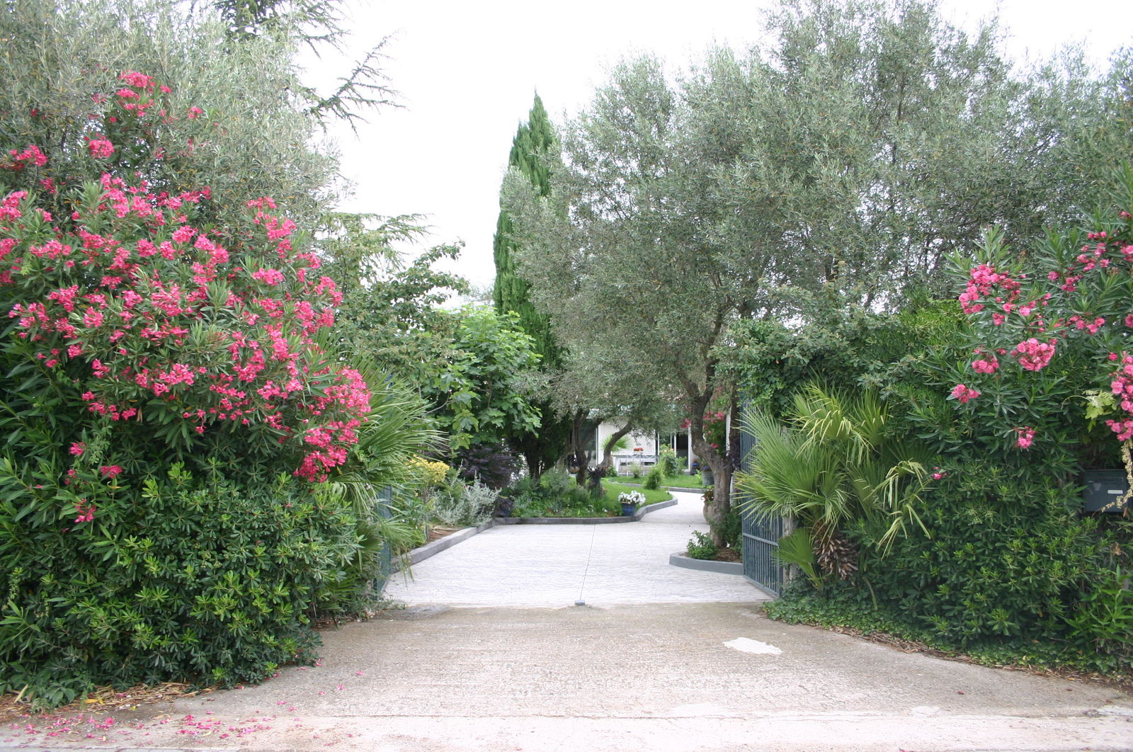 Famiglia Villetelle 204068