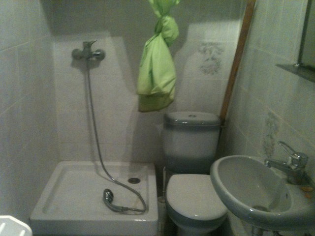 Famiglia Commequiers 42704