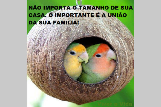 Famiglia Nice 60207