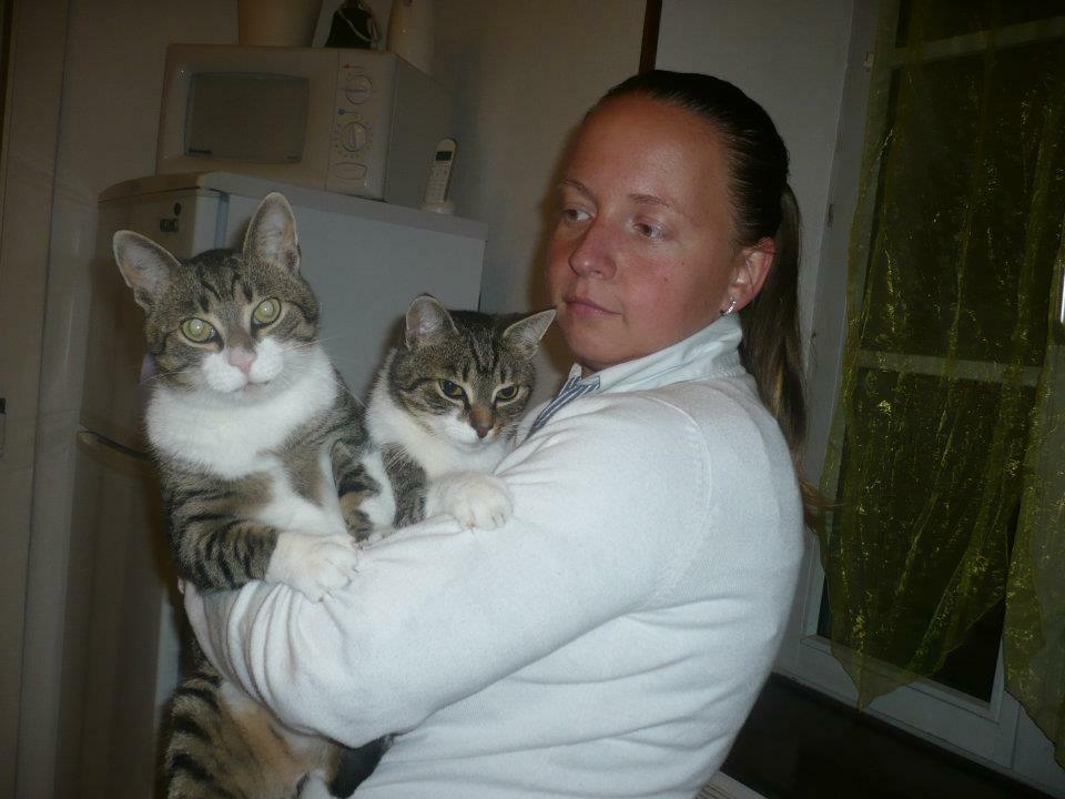 Collocazione Fougerolles 96108