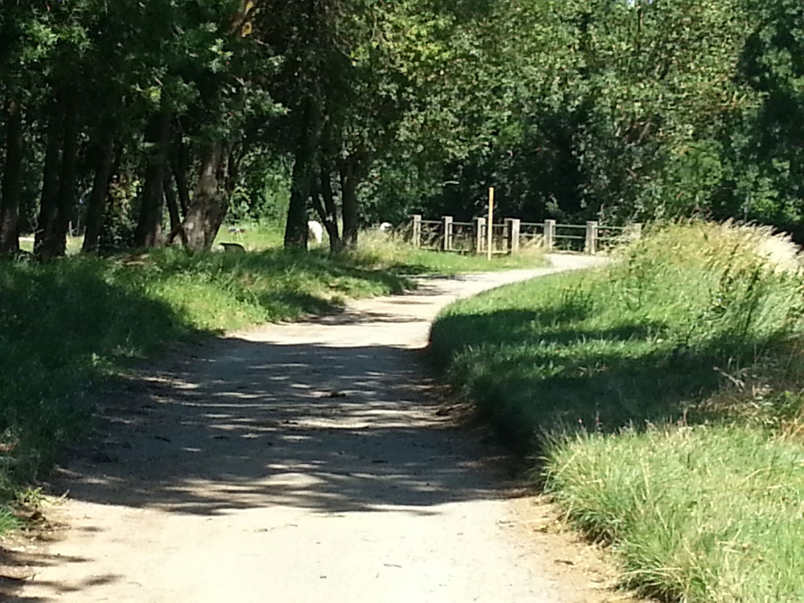 Famiglia Flassans-sur-Issole 98161