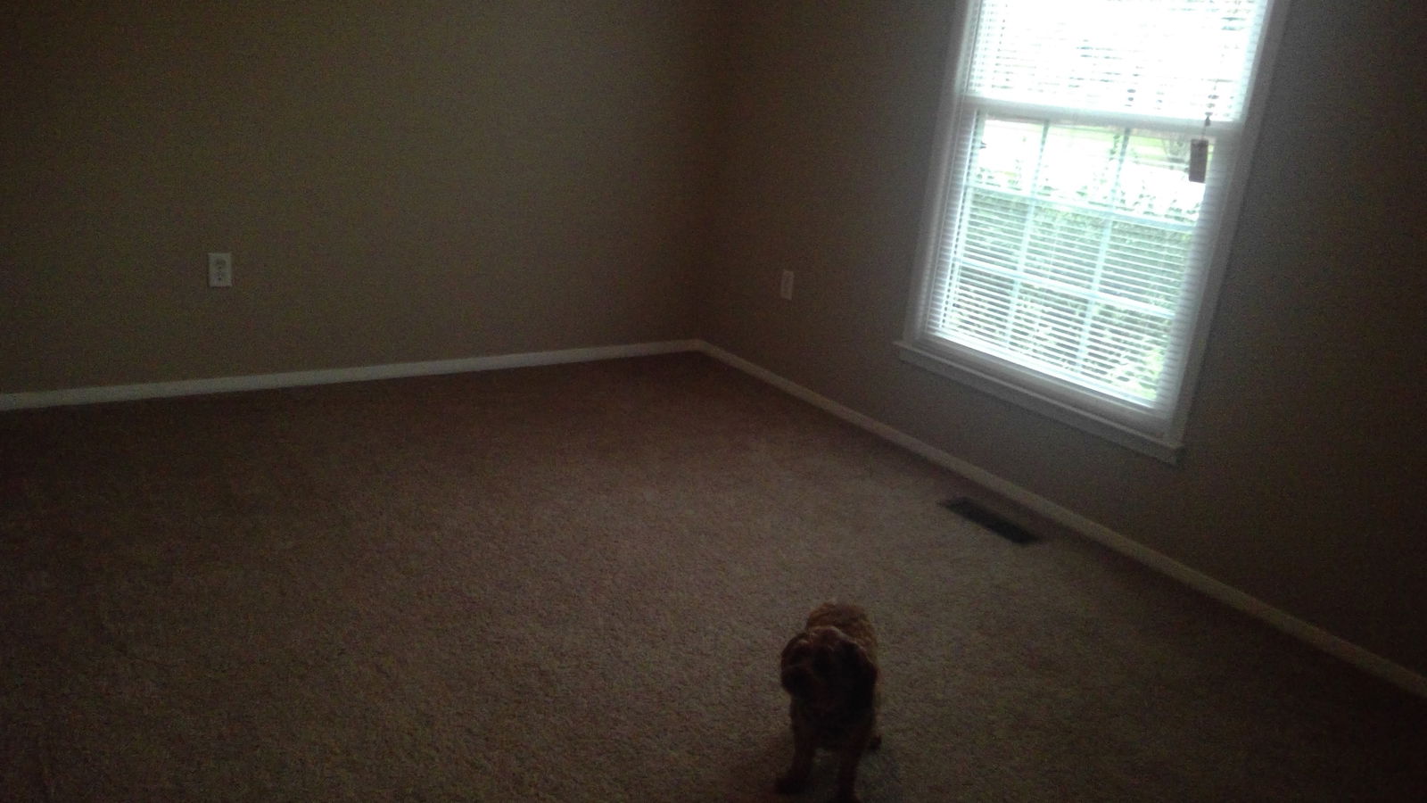 Famiglia Fayetteville 183523