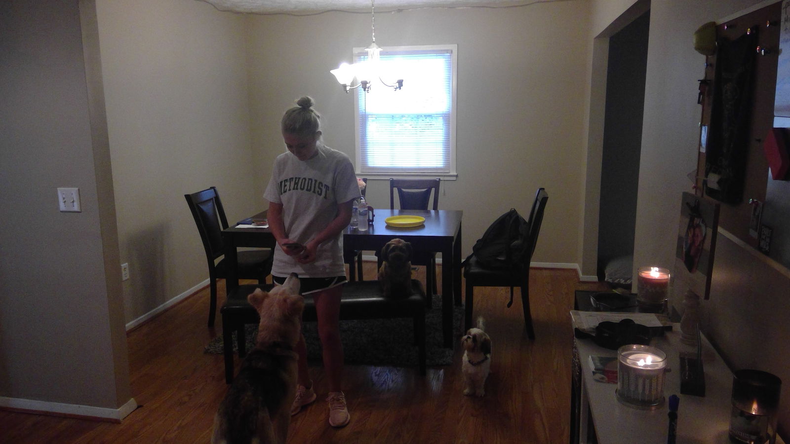 Famiglia Fayetteville 183523