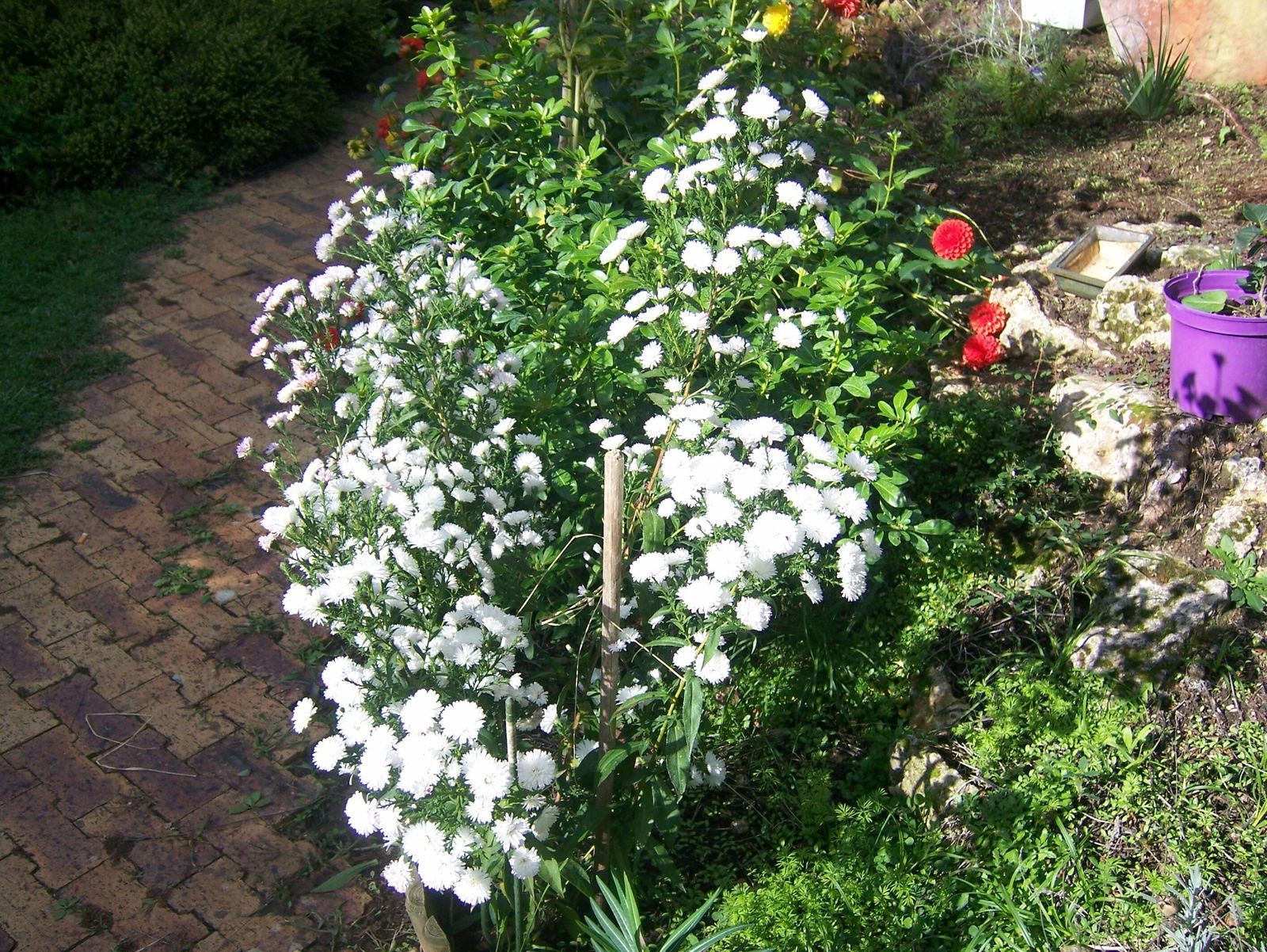 Famiglia Montigny-sur-Loing 242891