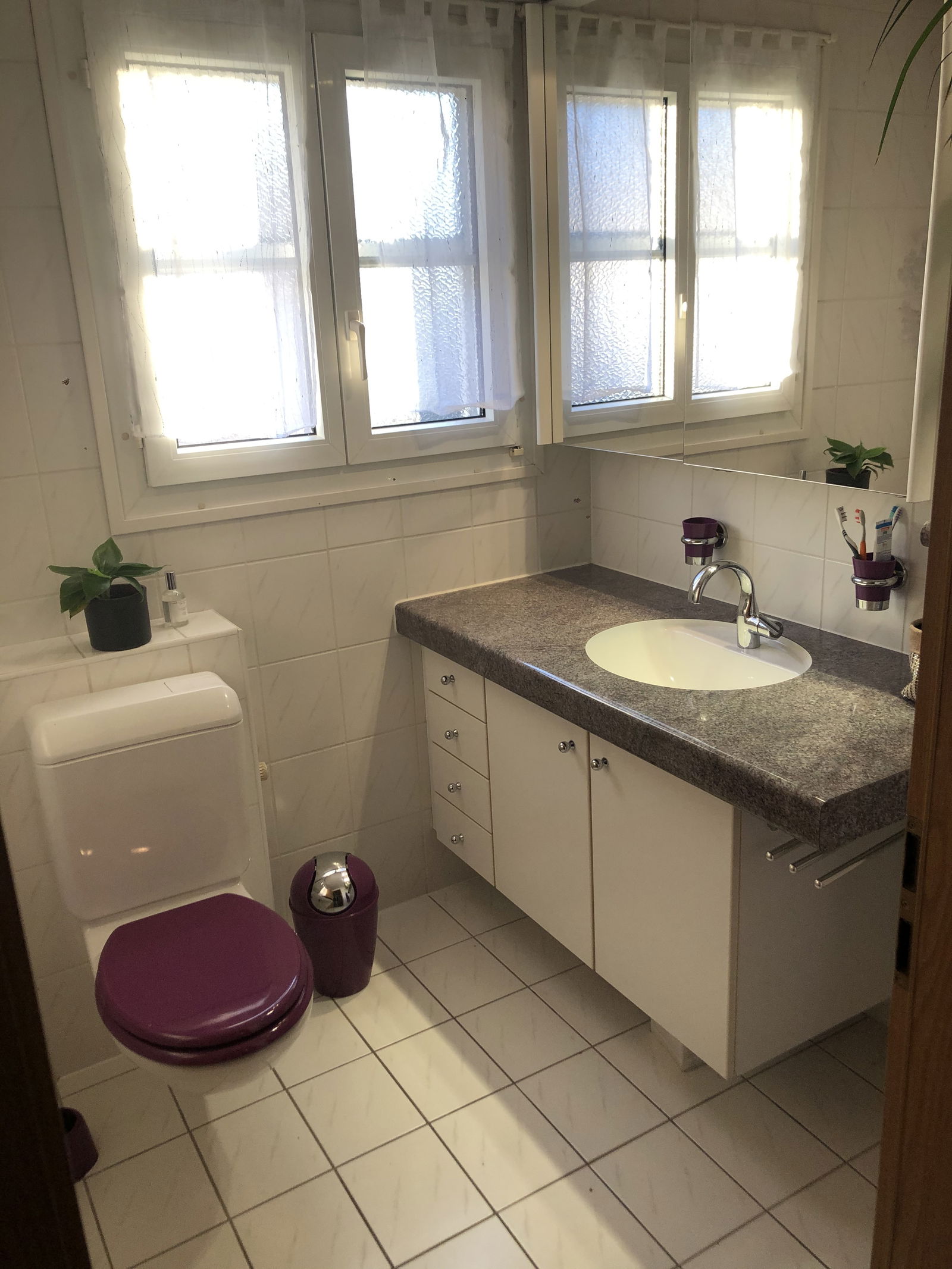 Famiglia Chessel 245048