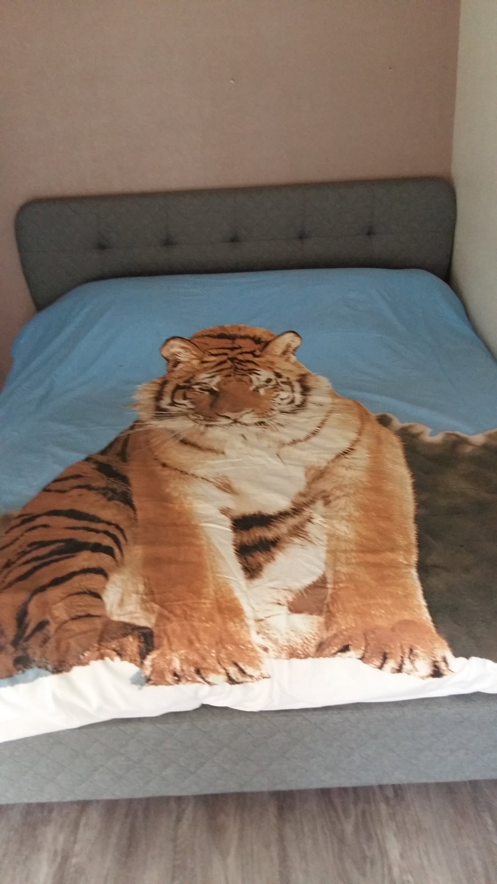 Famiglia Bougival 251508