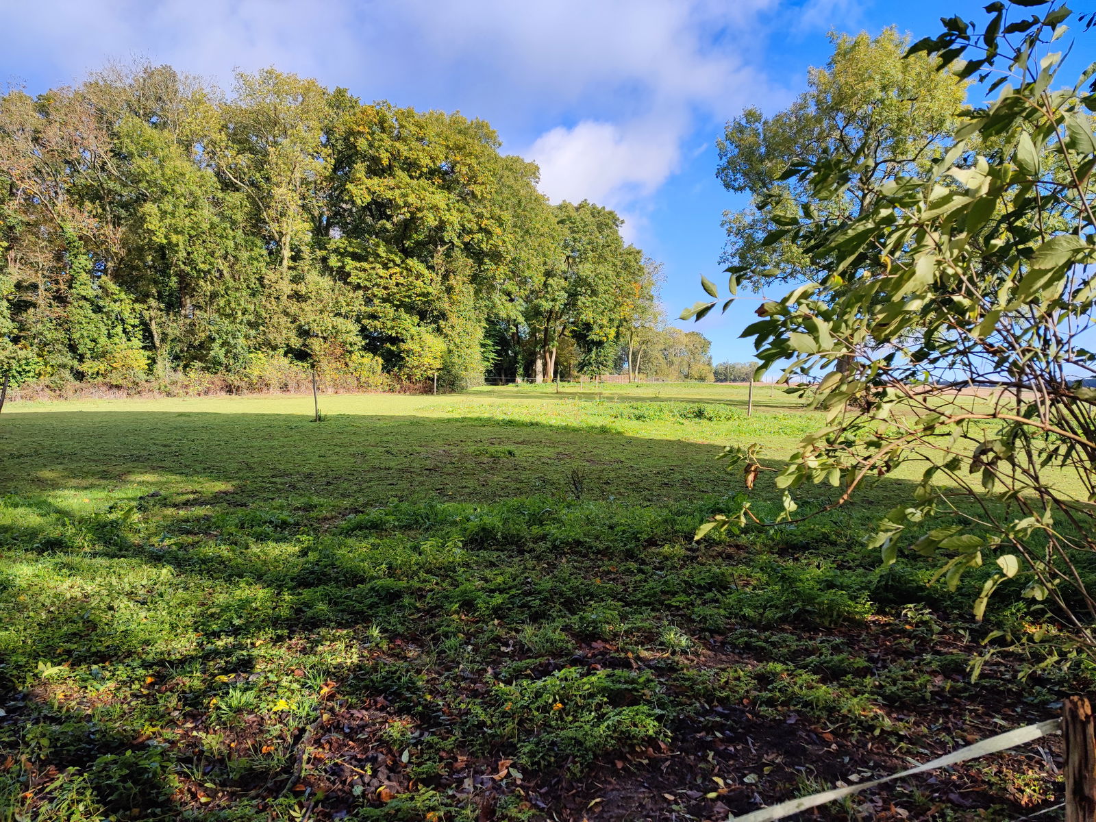 Famiglia Valdampierre 300799