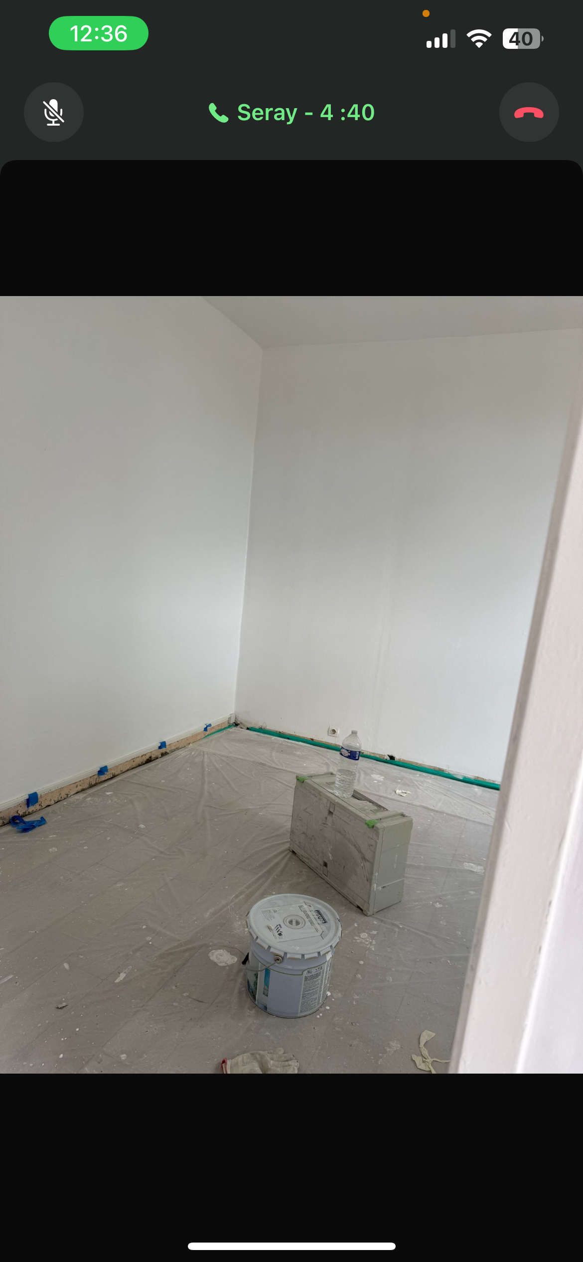 Collocazione Cenon 449027