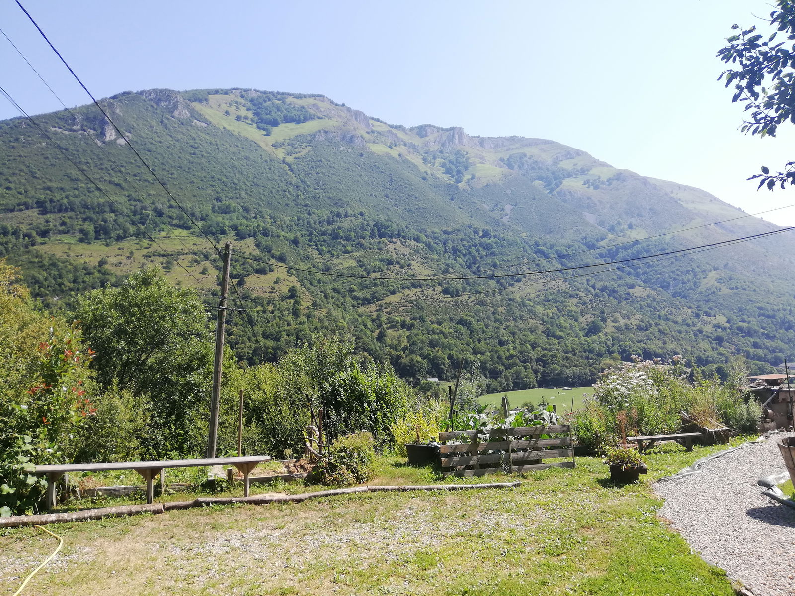 Famiglia Campan 469287