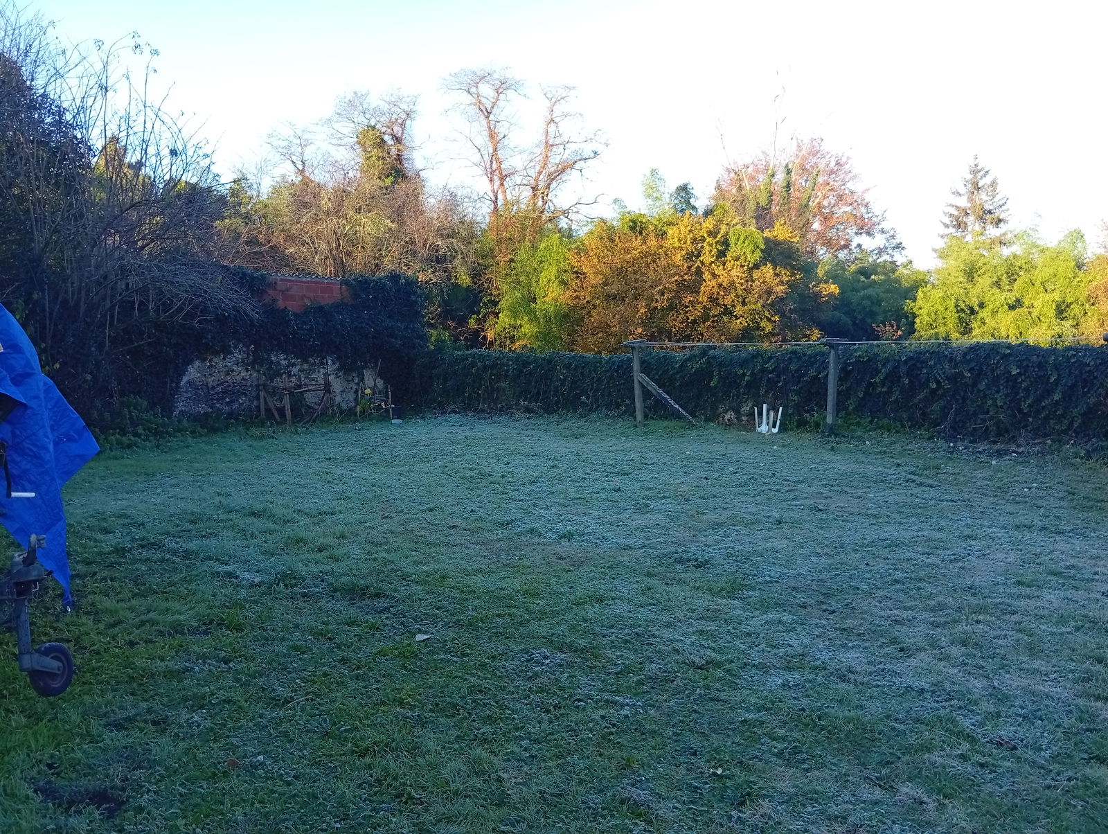 Famiglia Tartas 658085