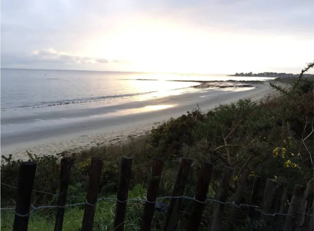 Famiglia Pluvigner 660808