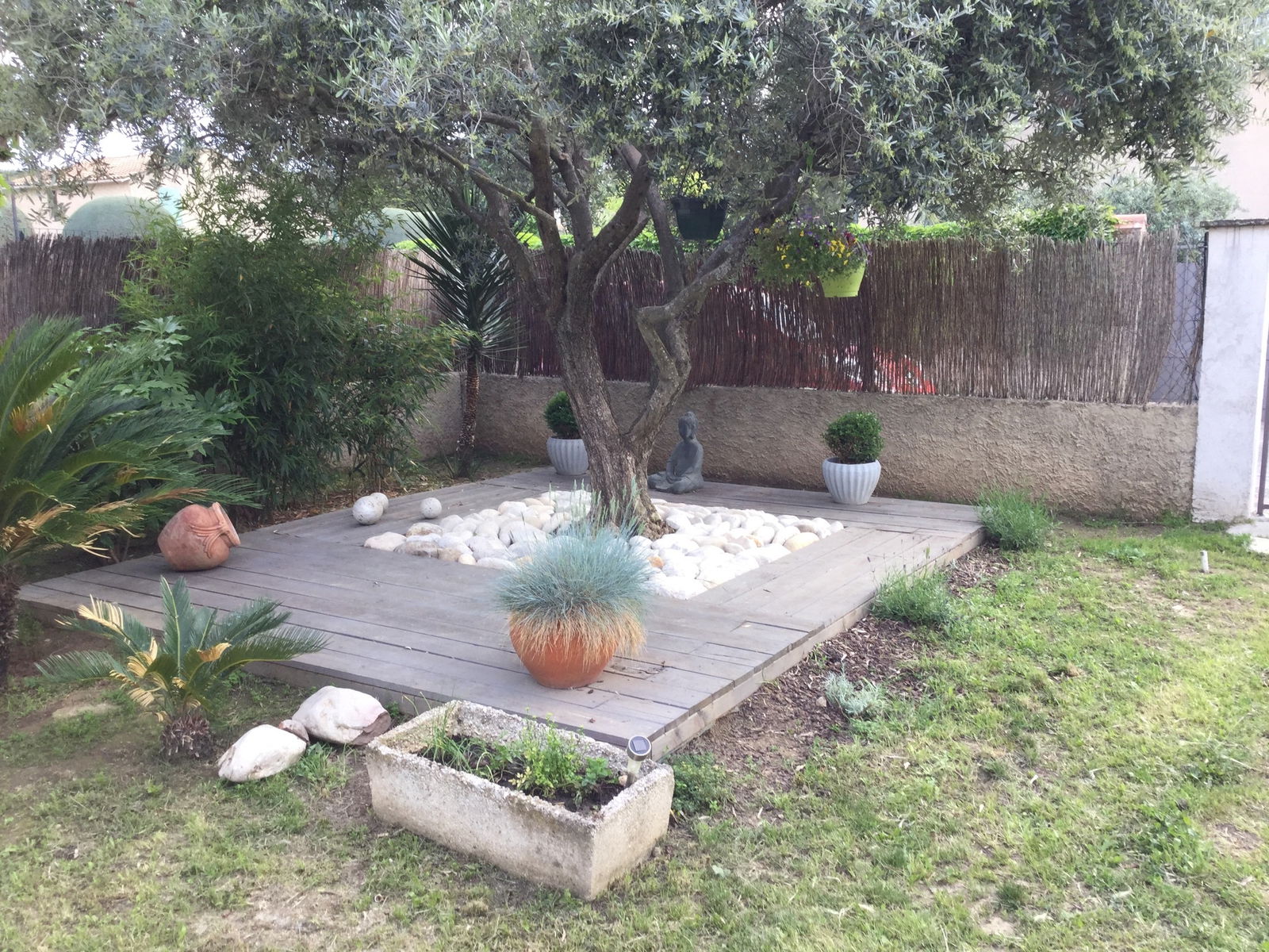 Famiglia Carpentras 244385