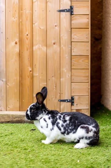 Famiglia Soucieu-en-Jarrest 241536