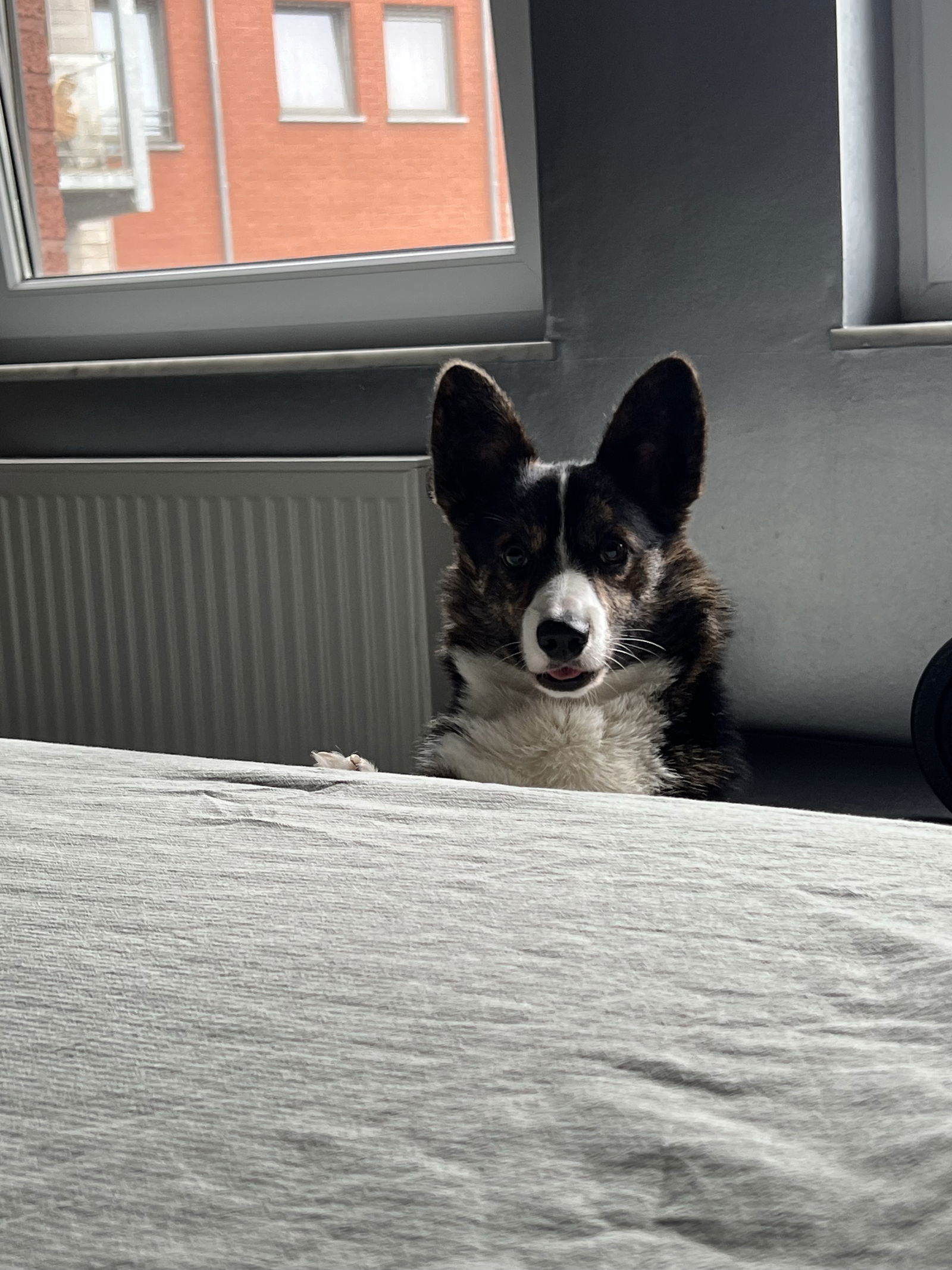 Collocazione Herstal 577673