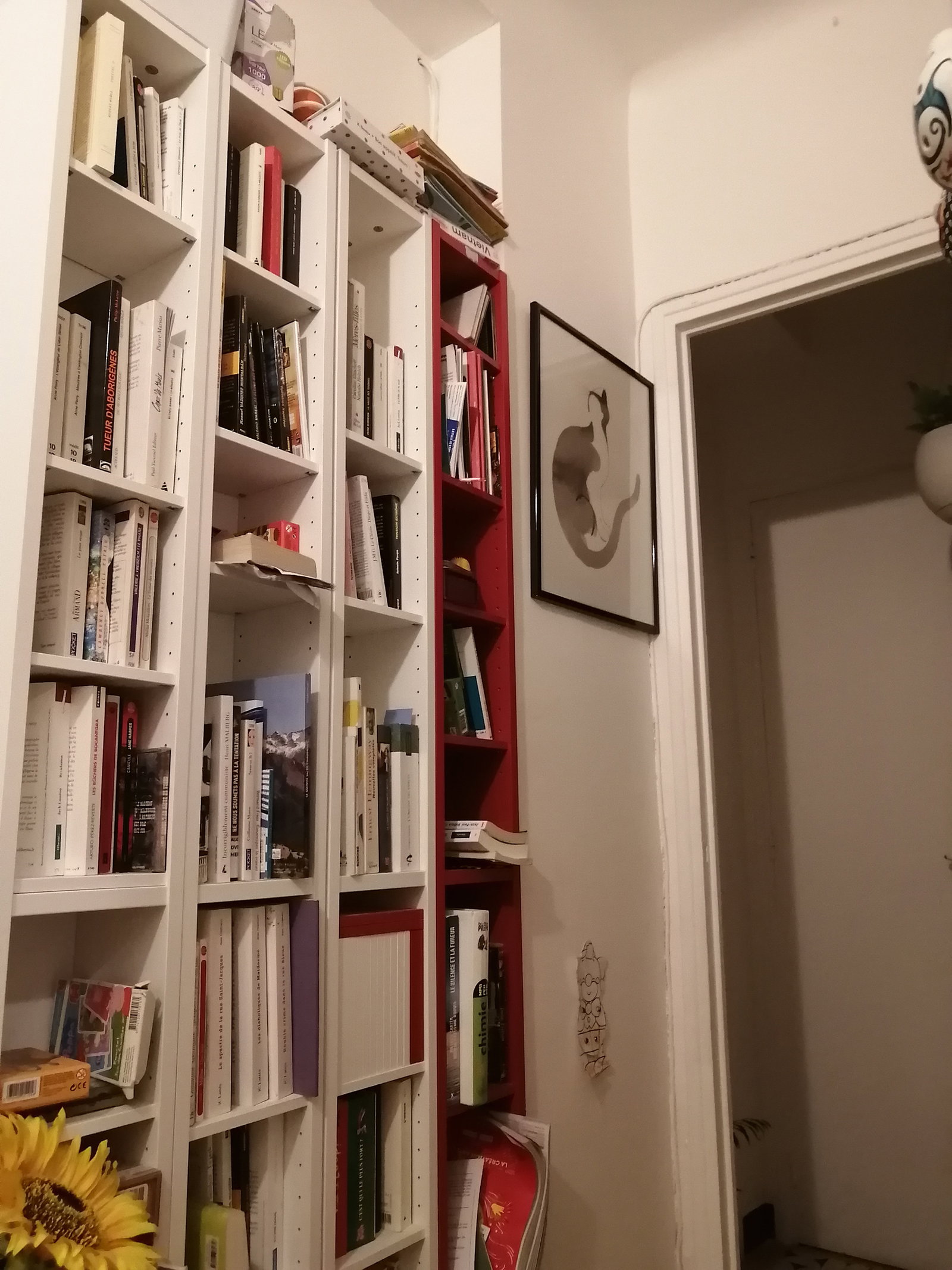 Famiglia Marseille 268014