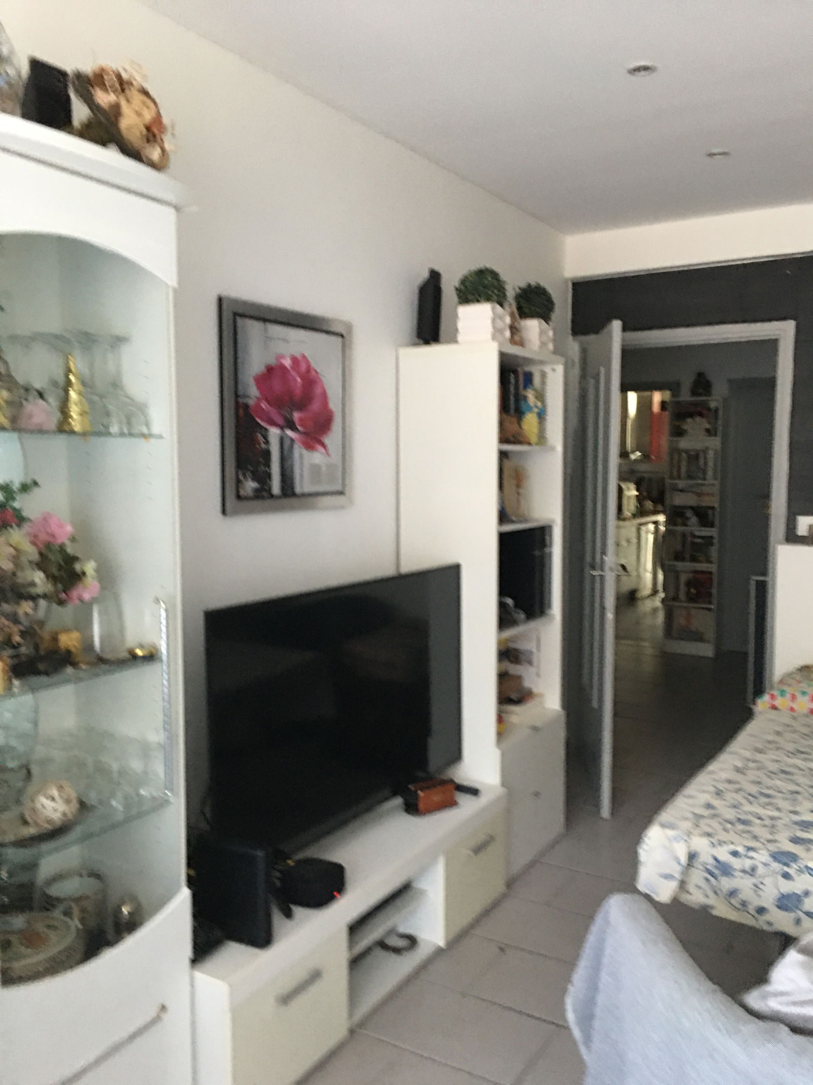 Famiglia Nice 246724