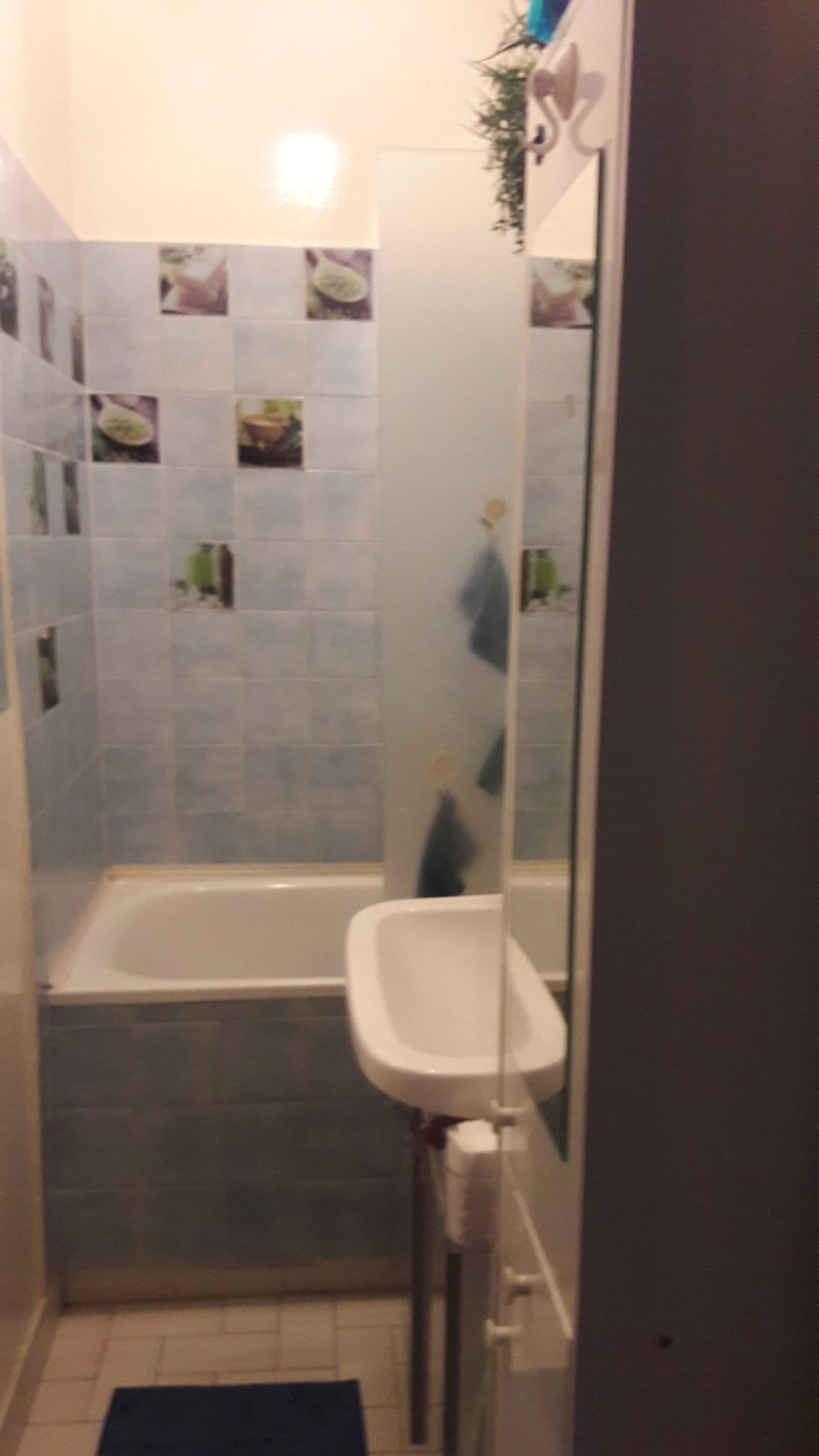 Famiglia Paris 242840