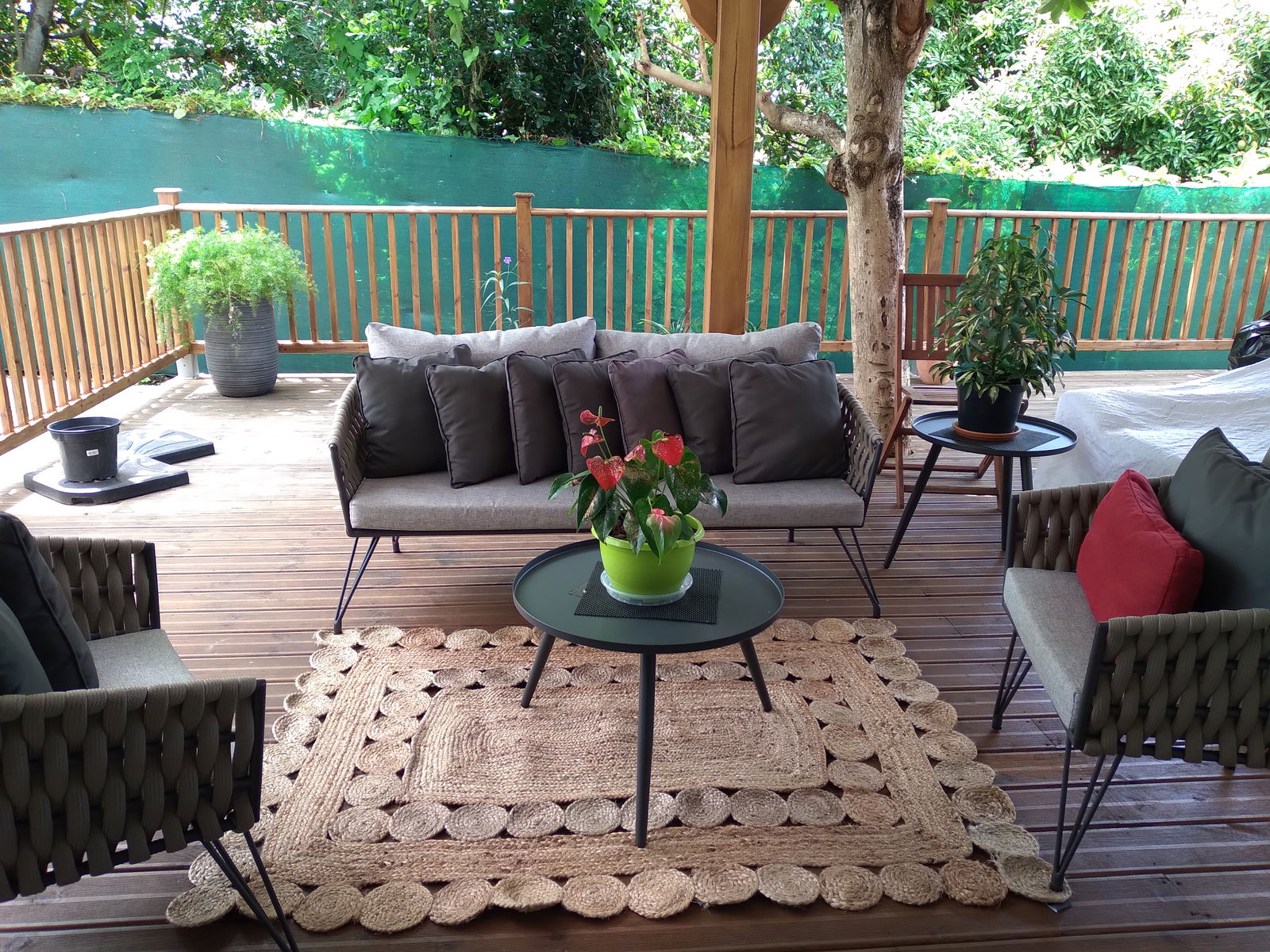 Collocazione Schoelcher 475271