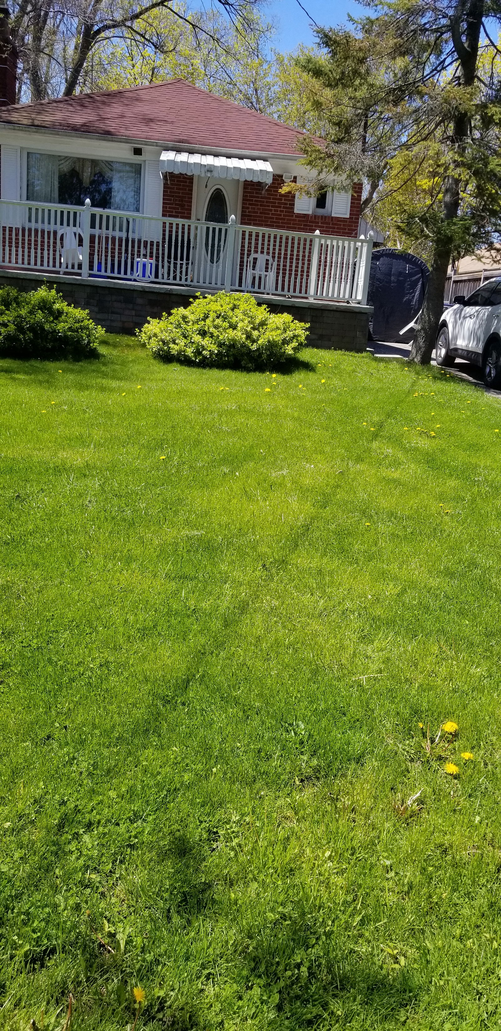 Collocazione Toronto 248404