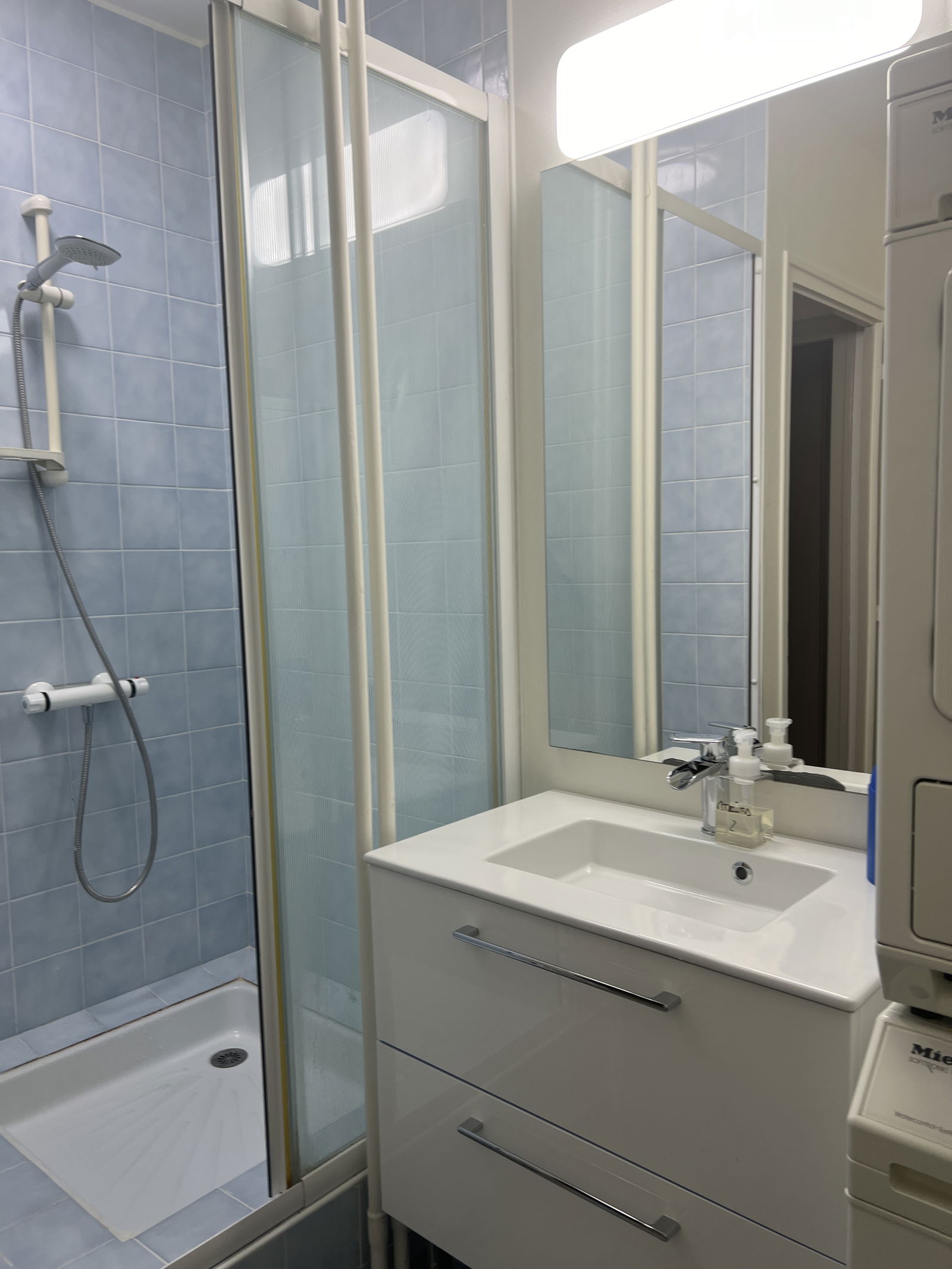 Famiglia Villeurbanne 160722