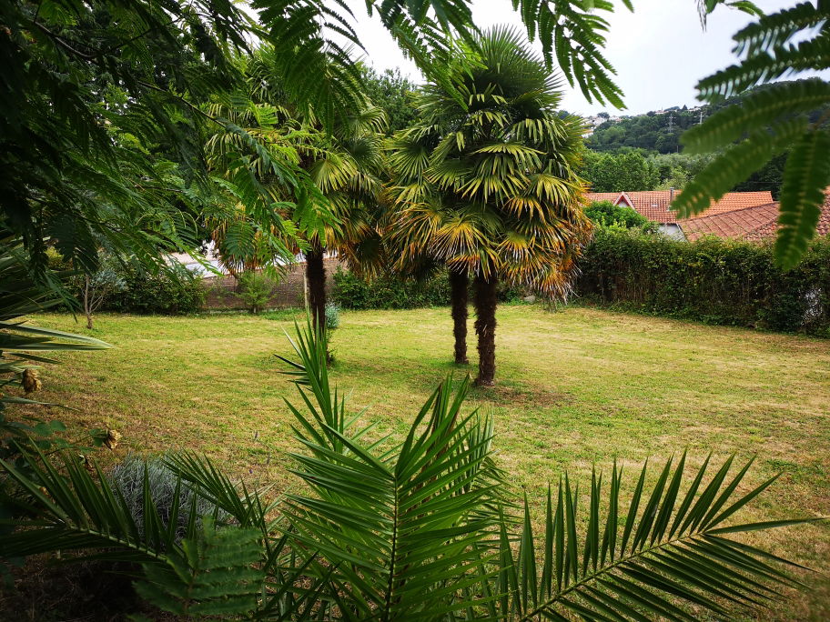 Famiglia Saint-Pierre-d'Irube 259771