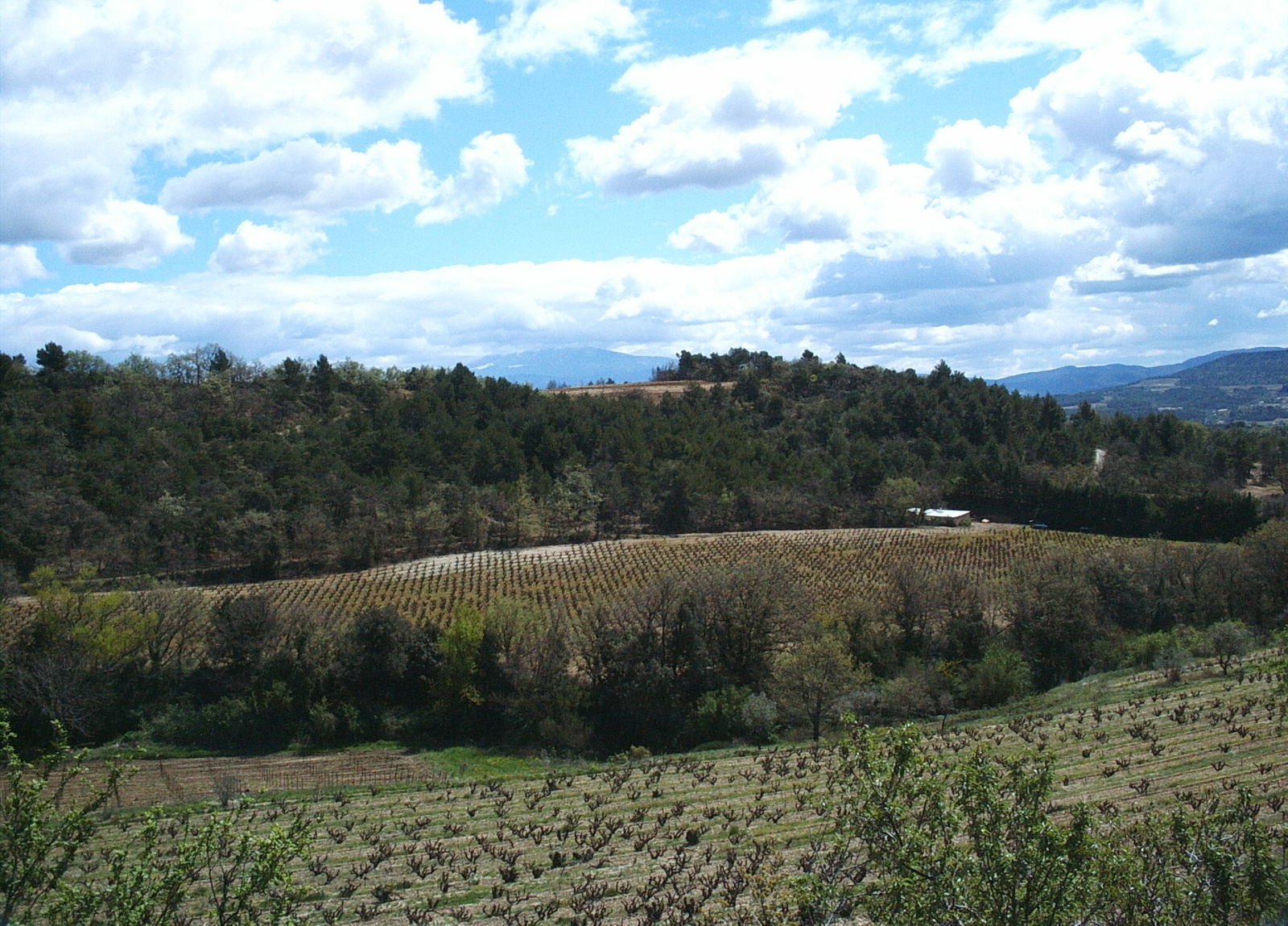 Famiglia Visan 81652