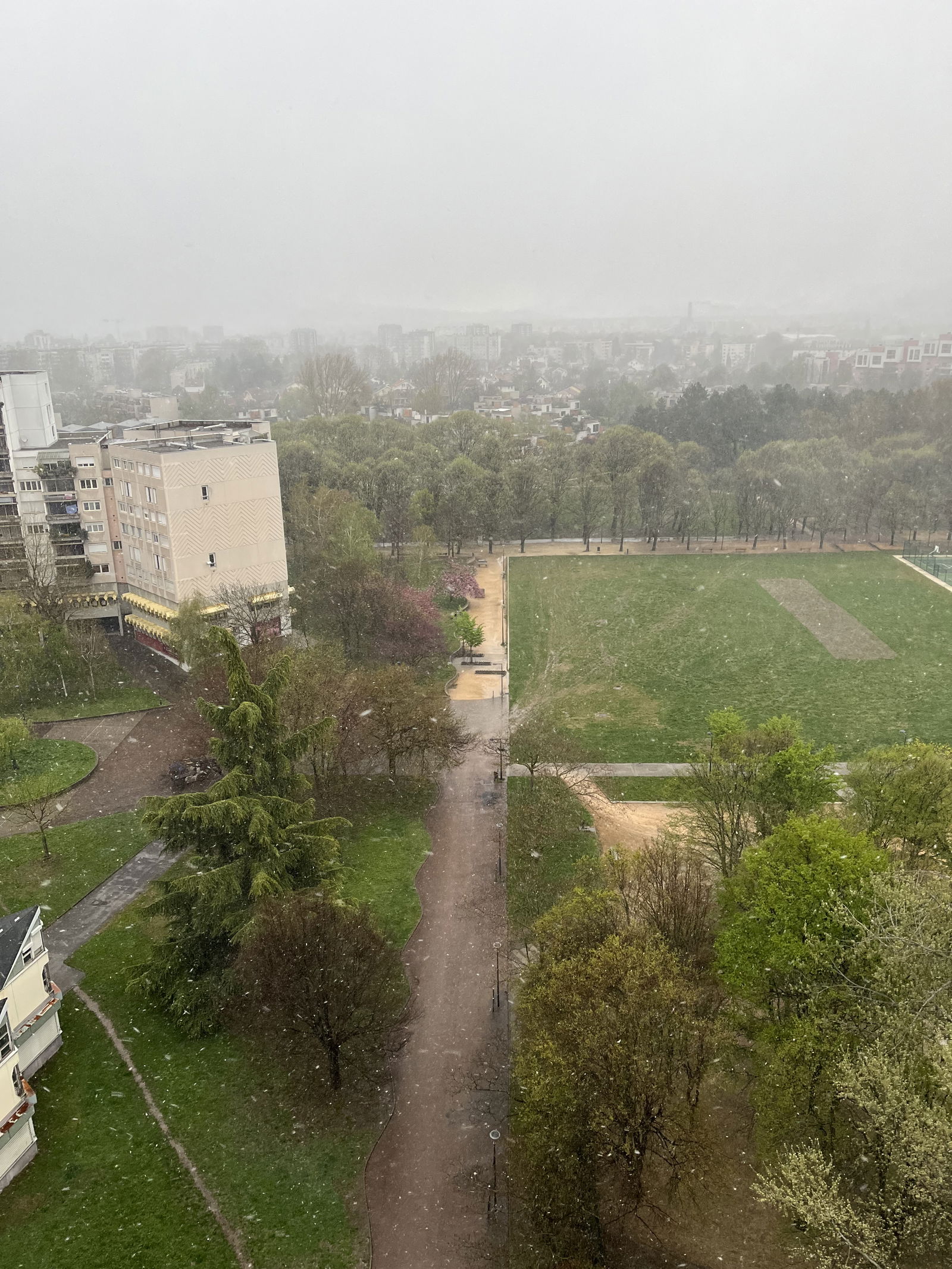 Famiglia Grenoble 64266