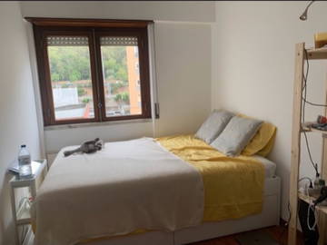 Roomlala | Stanza in affitto (collocazione)