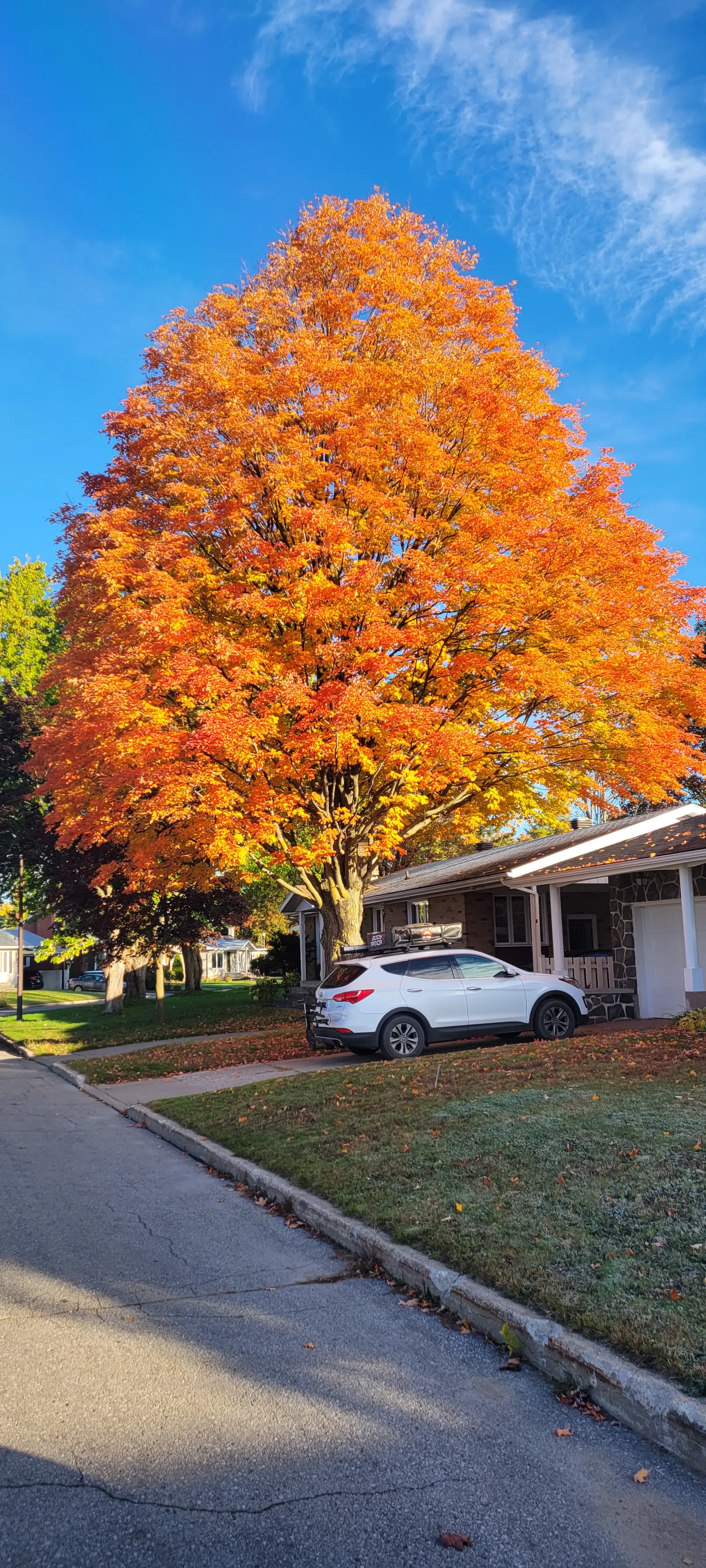 Famiglia Trois-Rivières 258639