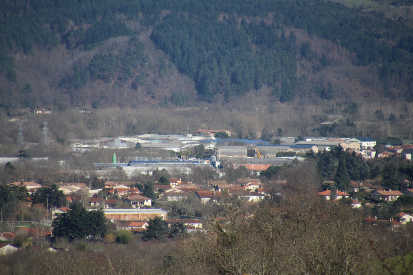 Famiglia Aiguefonde 48882