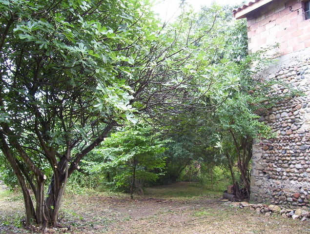 Famiglia Livron-sur-Drôme 35699