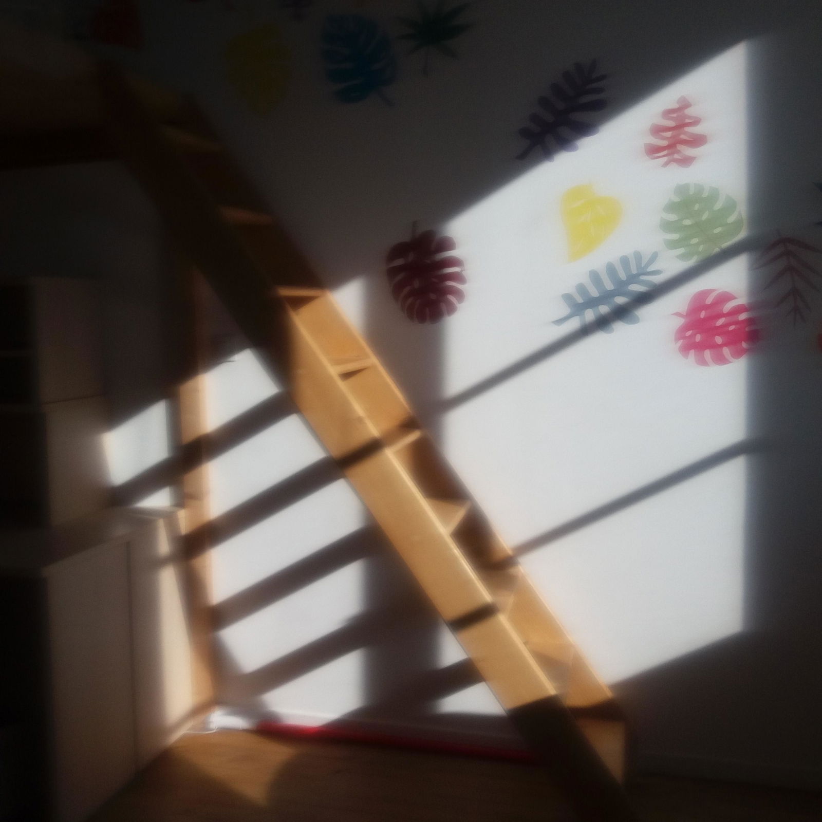 Famiglia Lyon 194738