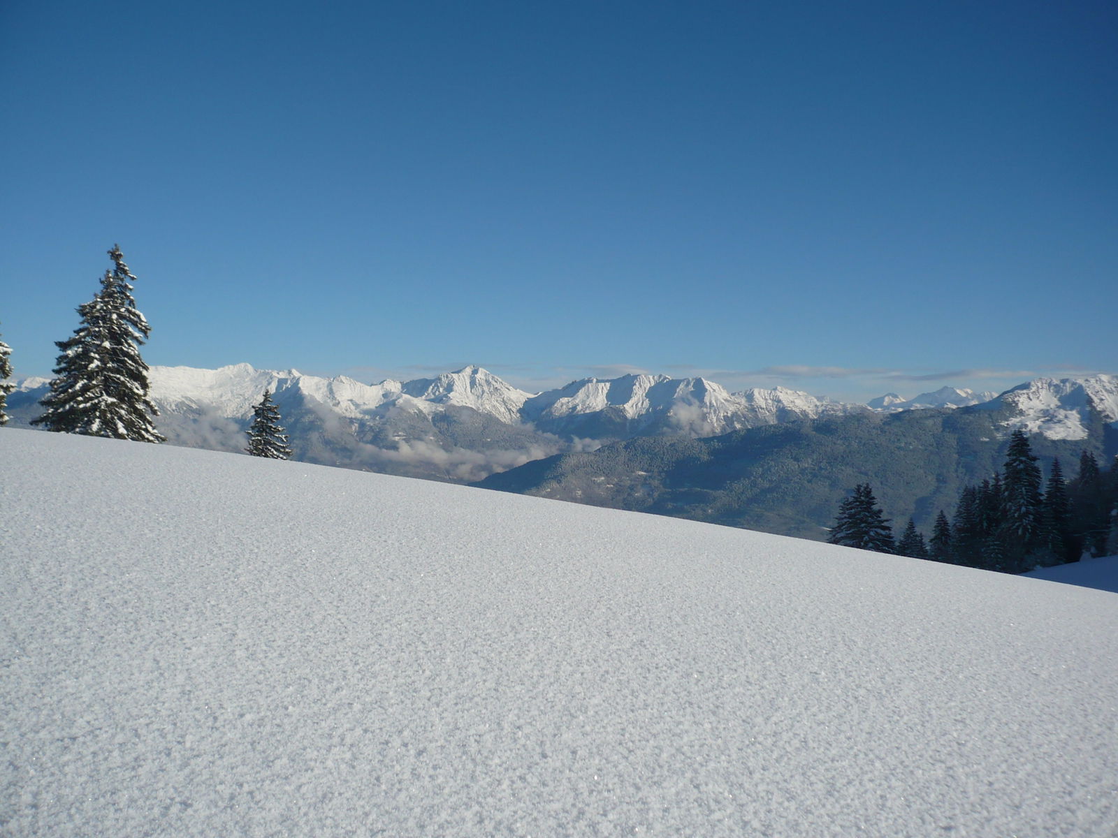 Famiglia Verrens-Arvey 1357