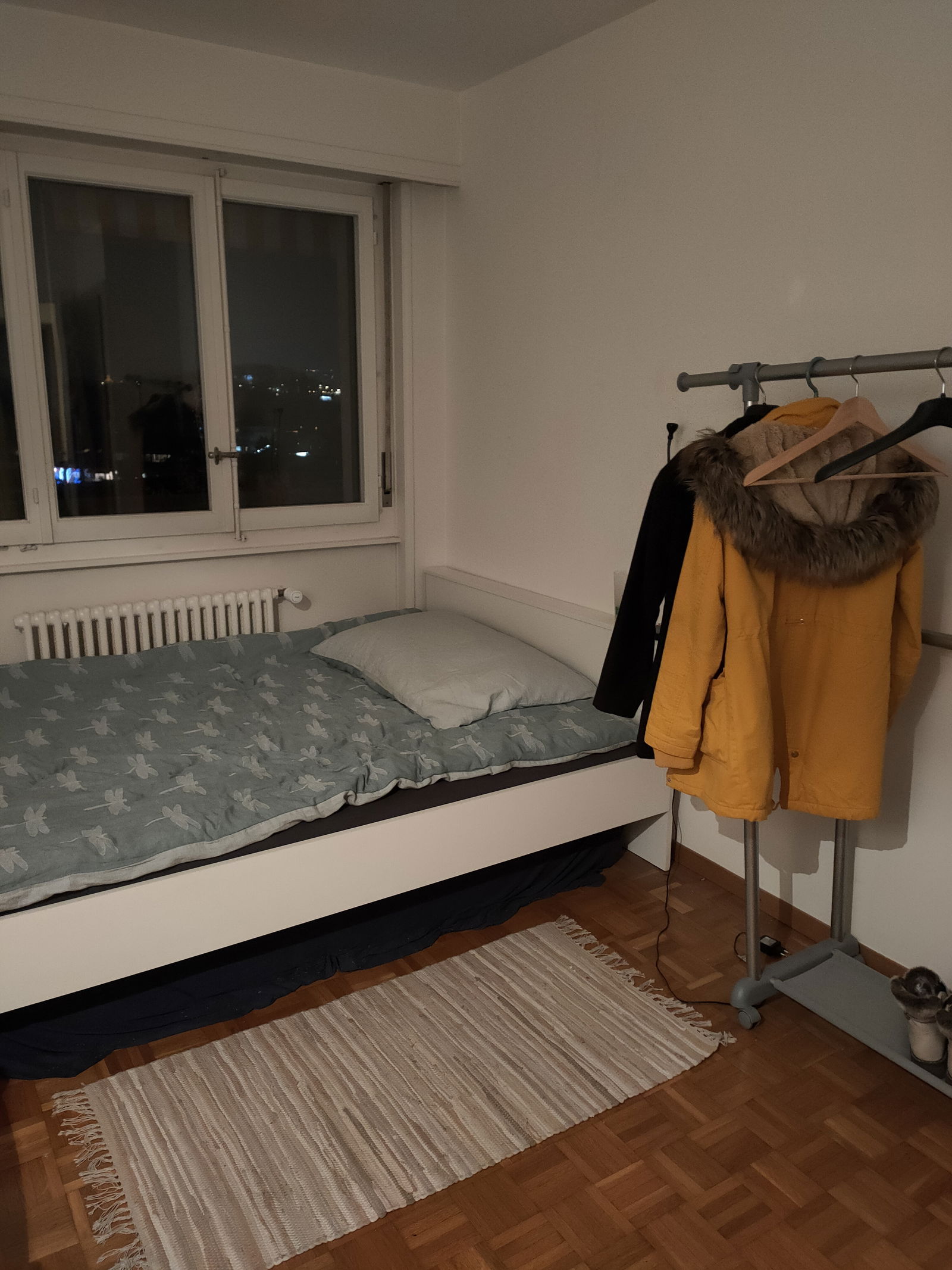 Collocazione Ecublens 255043